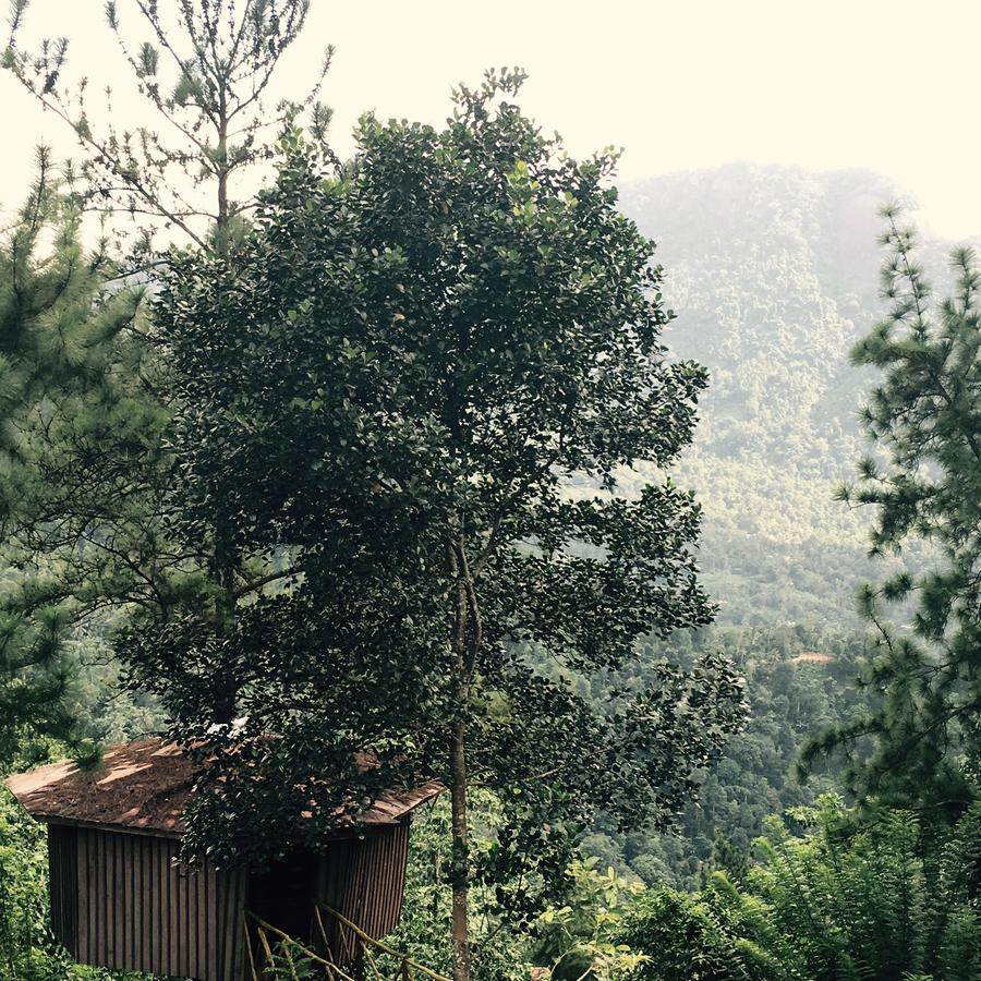 The Tree House Hotel Ginigathena Bagian luar foto