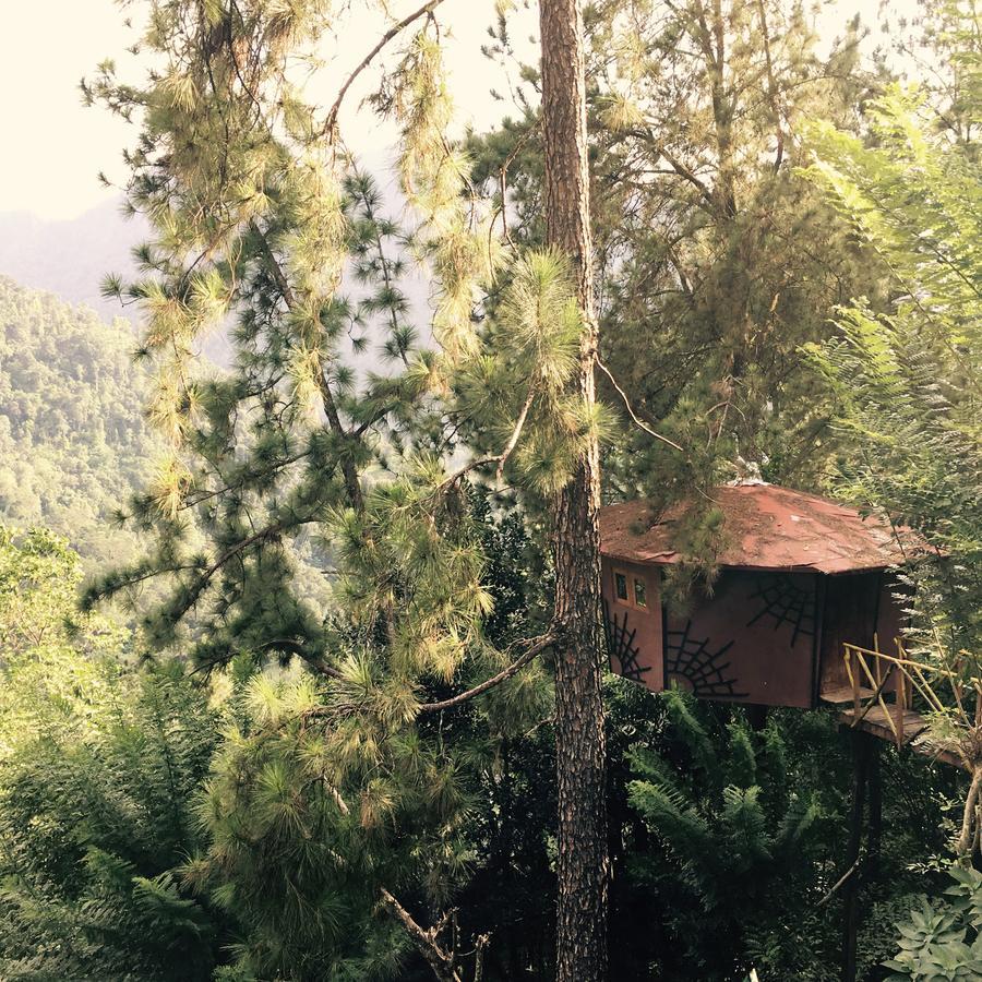 The Tree House Hotel Ginigathena Bagian luar foto