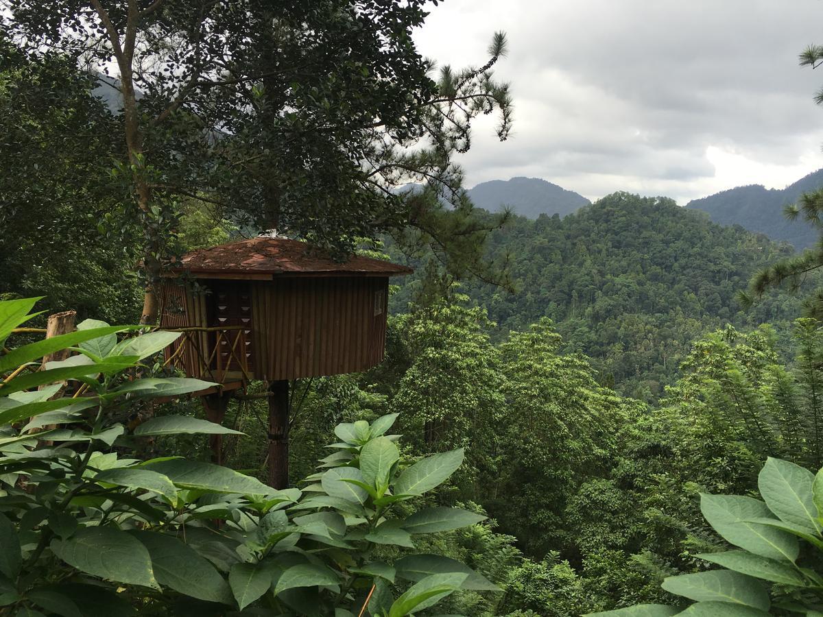 The Tree House Hotel Ginigathena Bagian luar foto