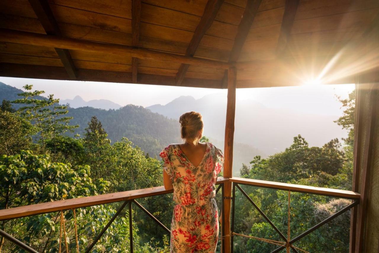 The Tree House Hotel Ginigathena Bagian luar foto